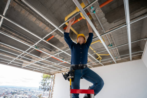 Best Local Plumber Services  in Seminole, OK